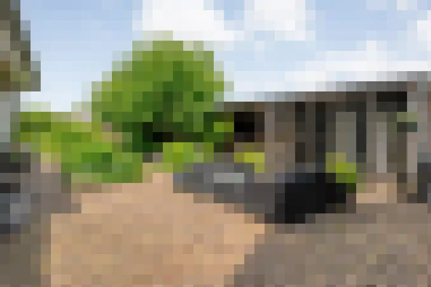 Dijkhuizen 49 Ruinerwold thumbnail 44