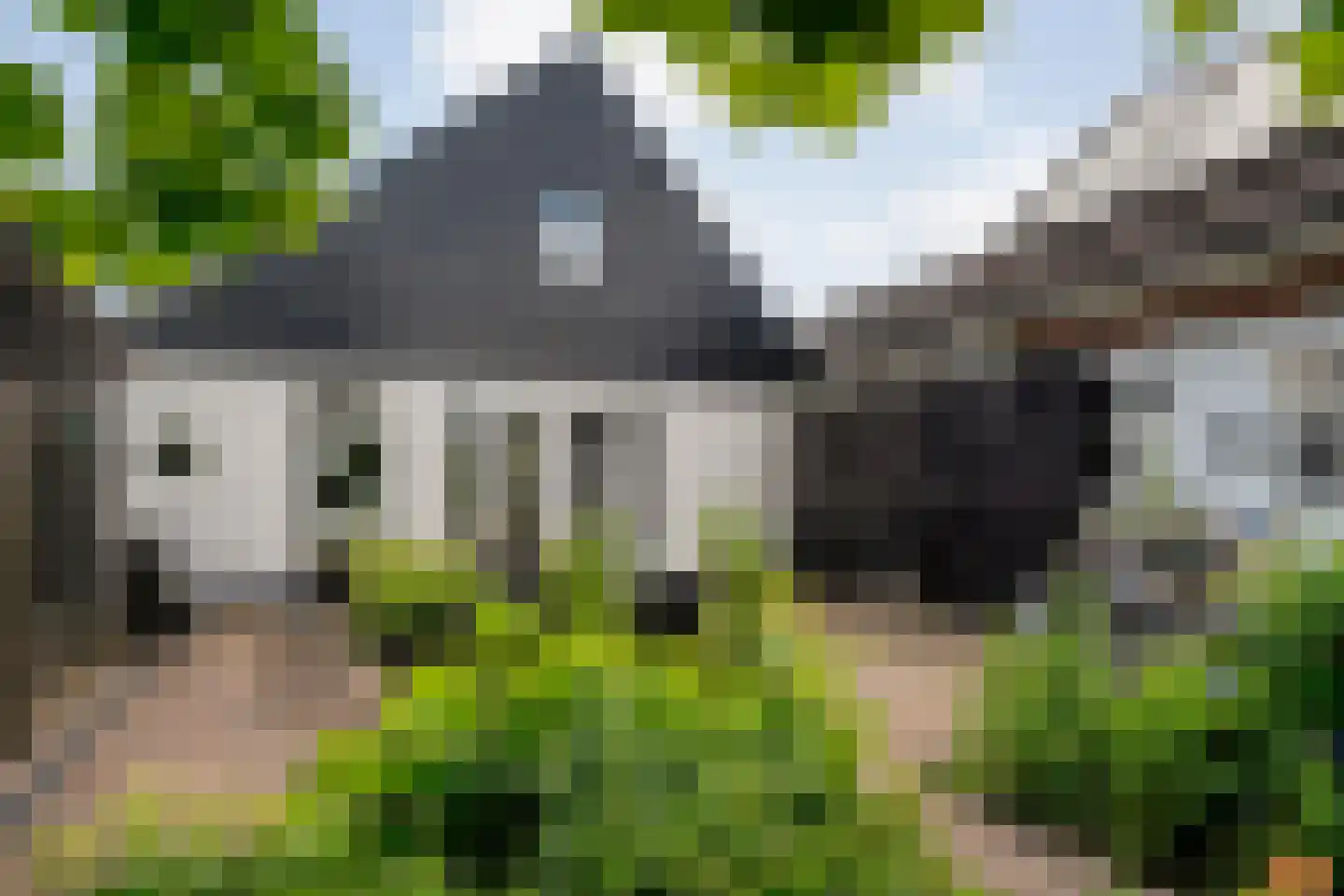 Dijkhuizen 49 Ruinerwold thumbnail 45