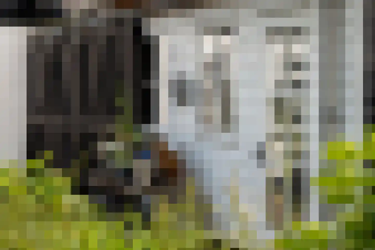 Dijkhuizen 49 Ruinerwold thumbnail 47