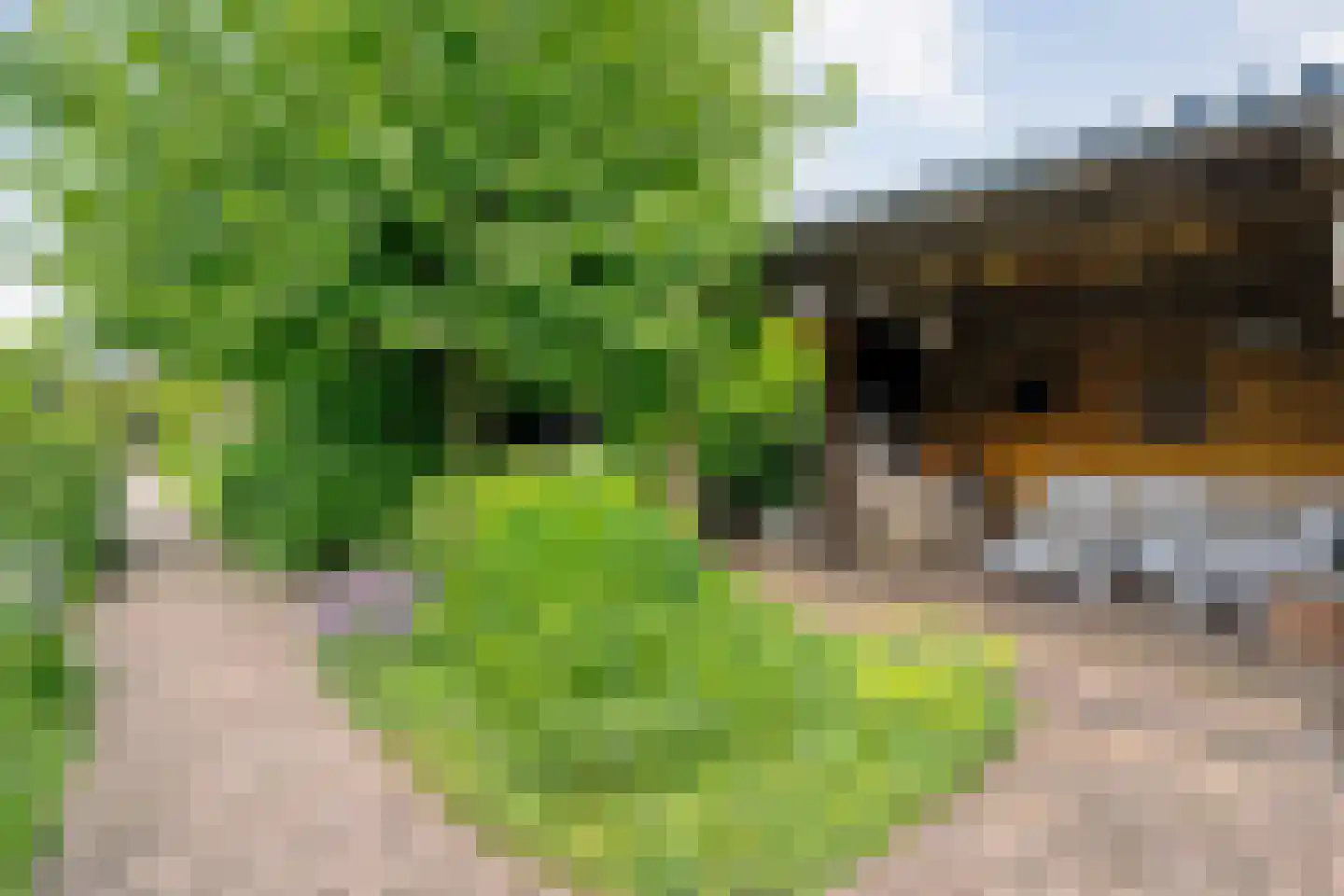 Dijkhuizen 49 Ruinerwold thumbnail 48