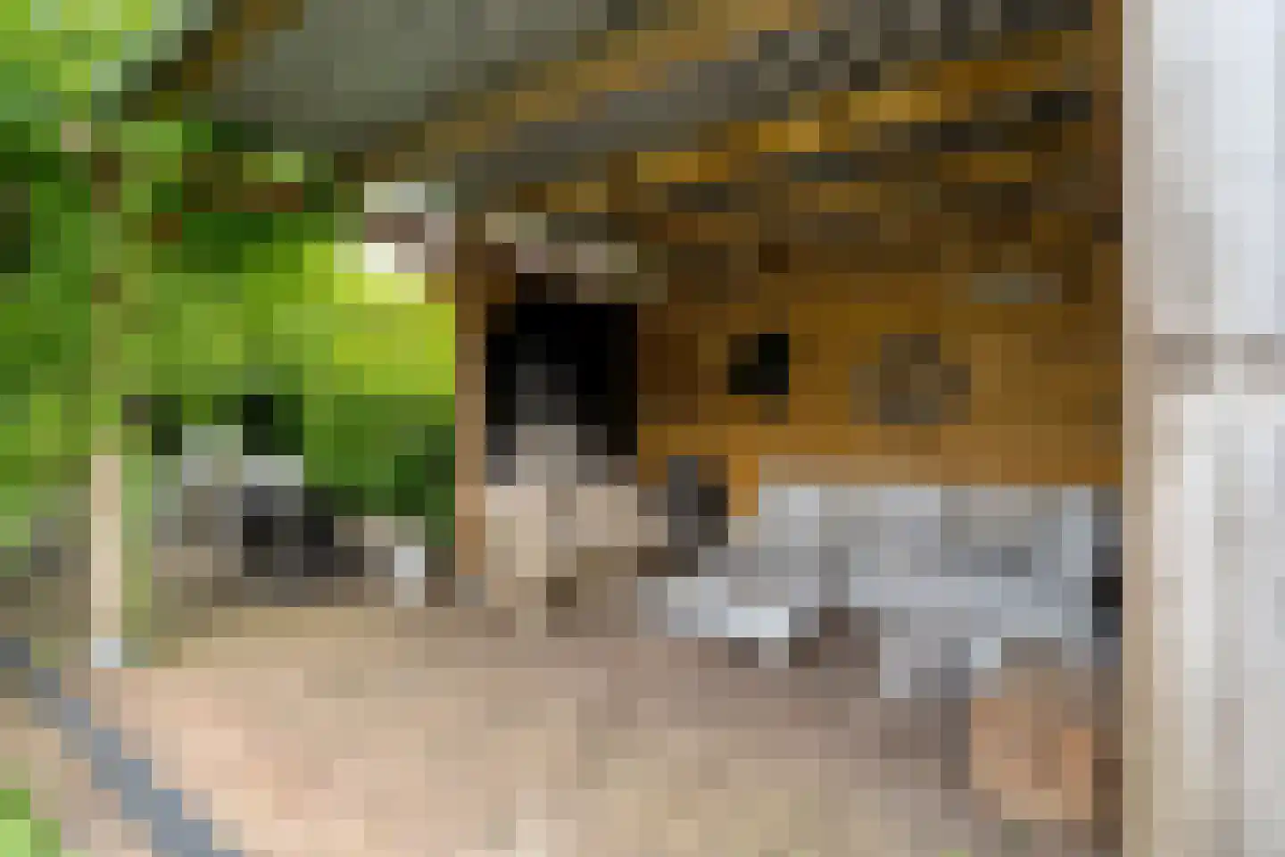 Dijkhuizen 49 Ruinerwold thumbnail 49