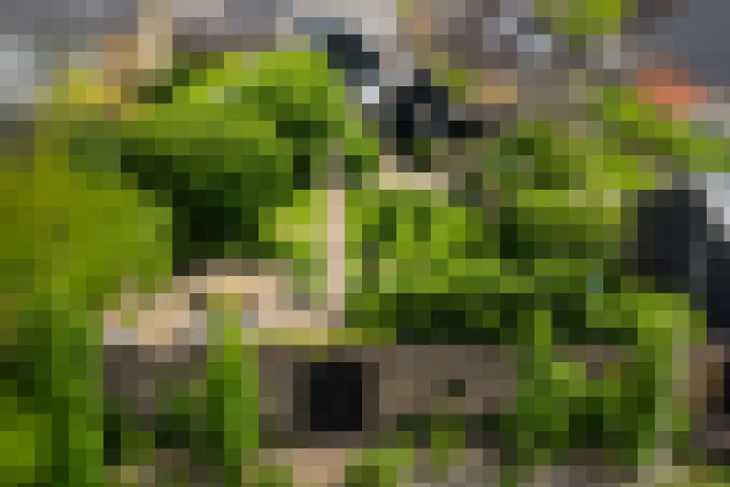 Dijkhuizen 49 Ruinerwold thumbnail 5
