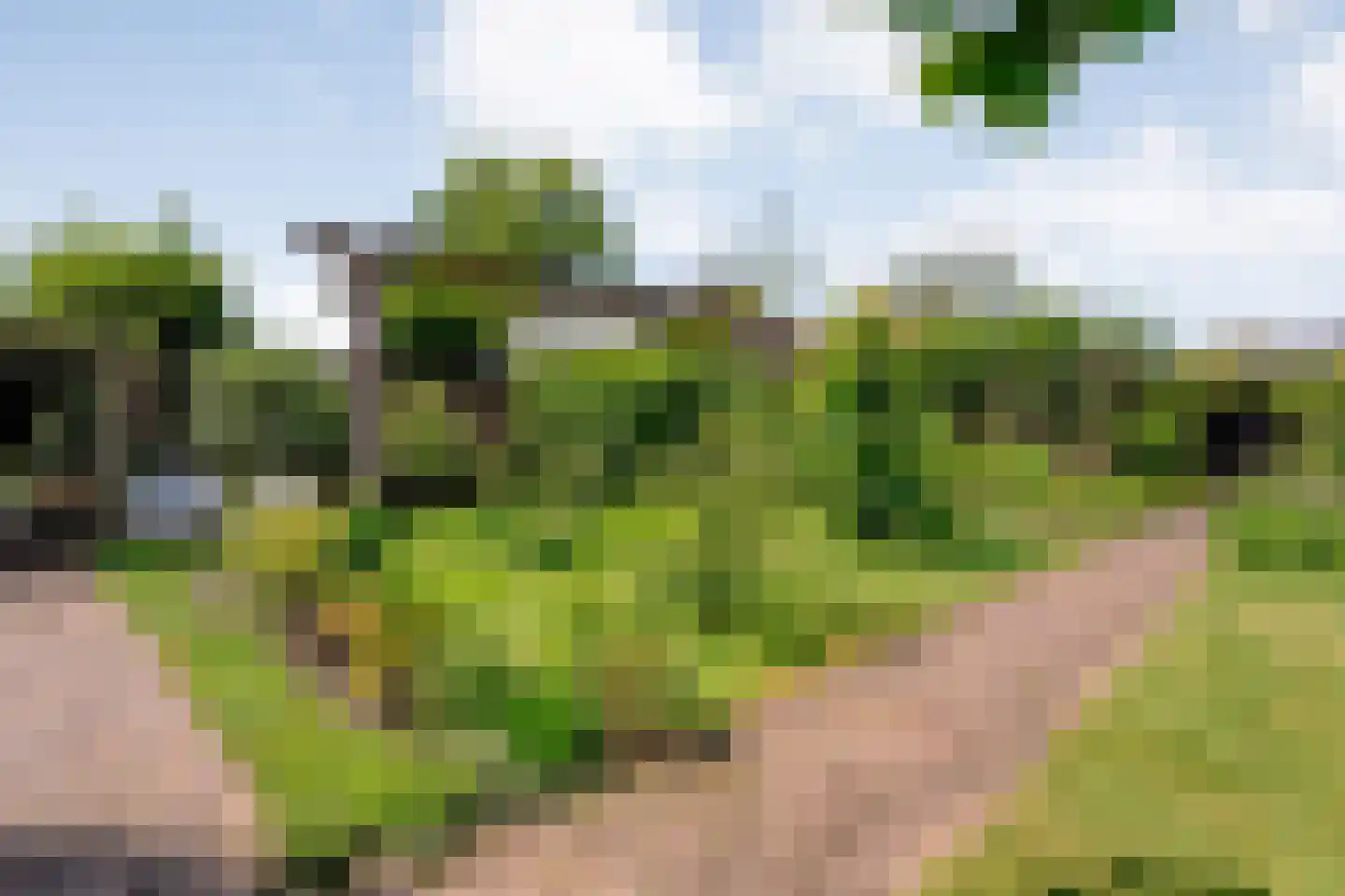 Dijkhuizen 49 Ruinerwold thumbnail 51