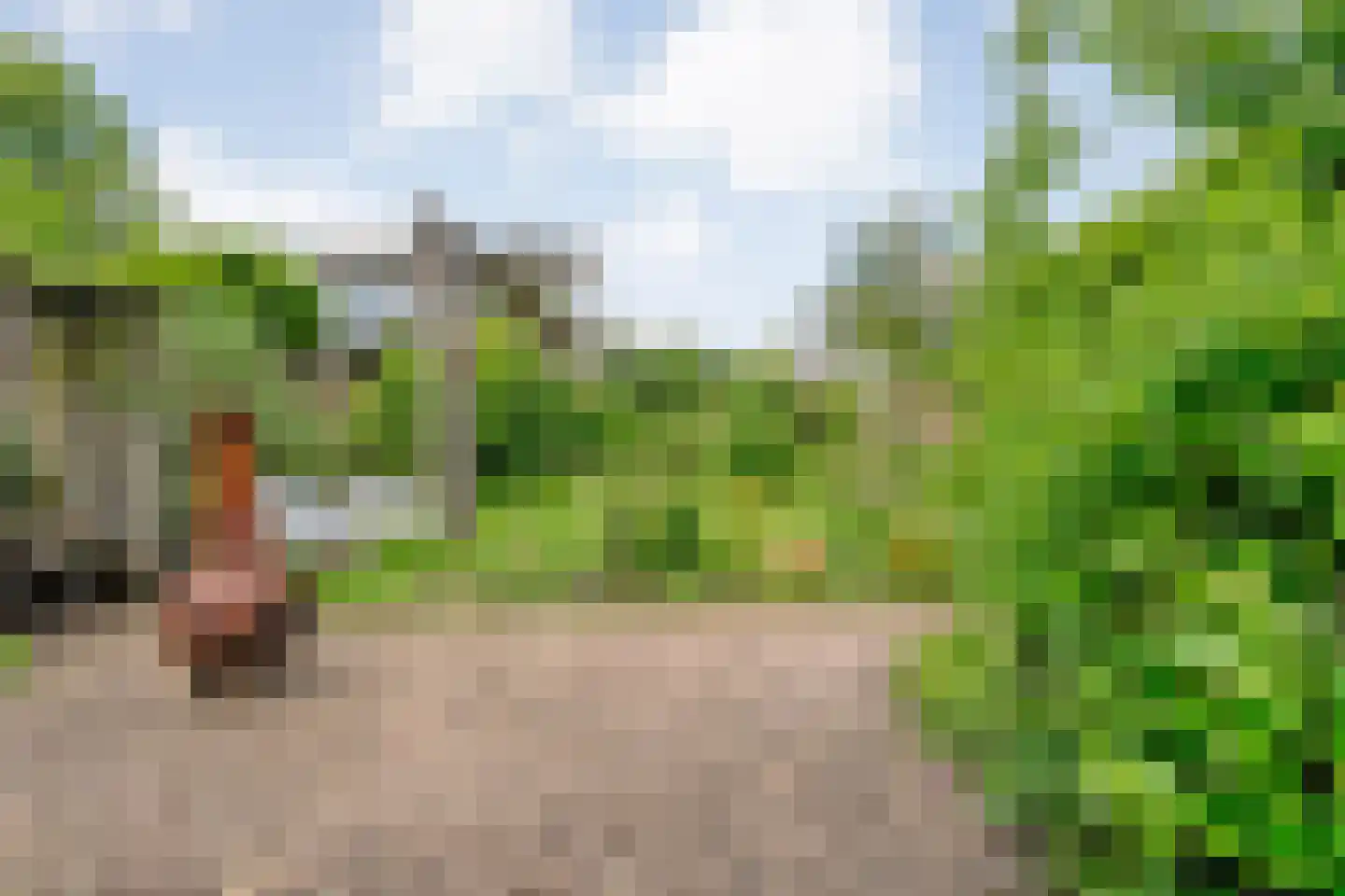 Dijkhuizen 49 Ruinerwold thumbnail 52