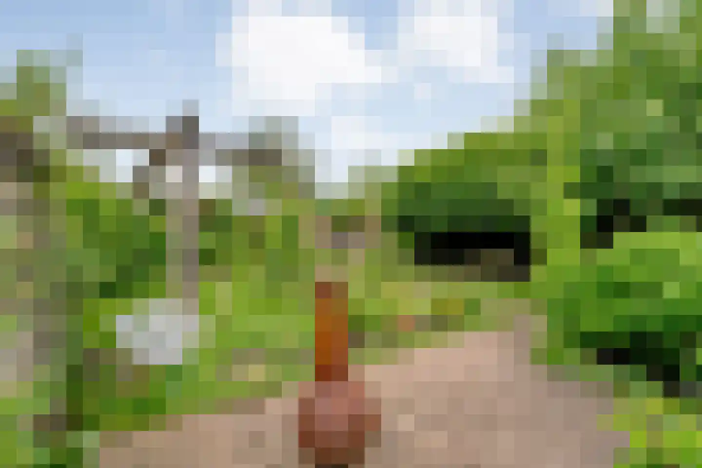 Dijkhuizen 49 Ruinerwold thumbnail 53