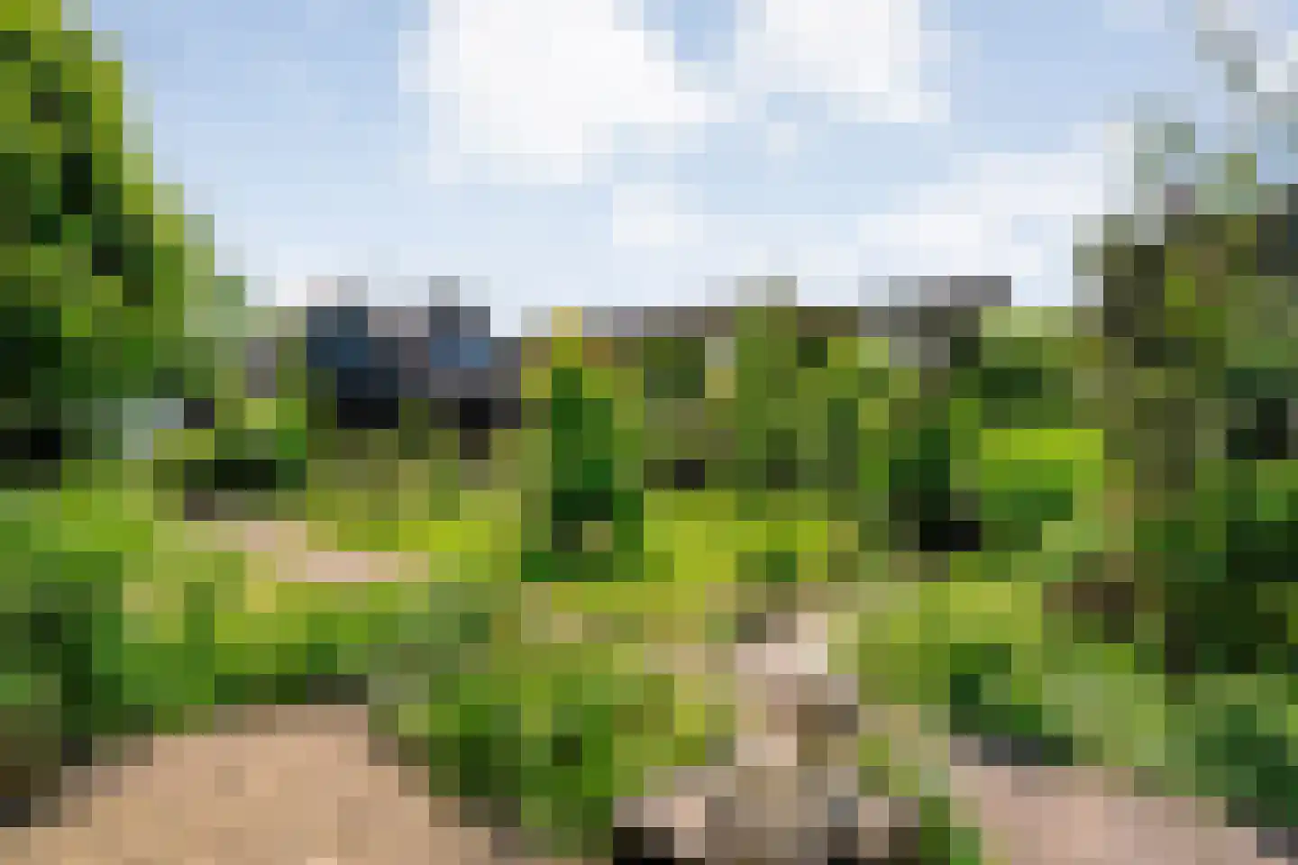 Dijkhuizen 49 Ruinerwold thumbnail 59