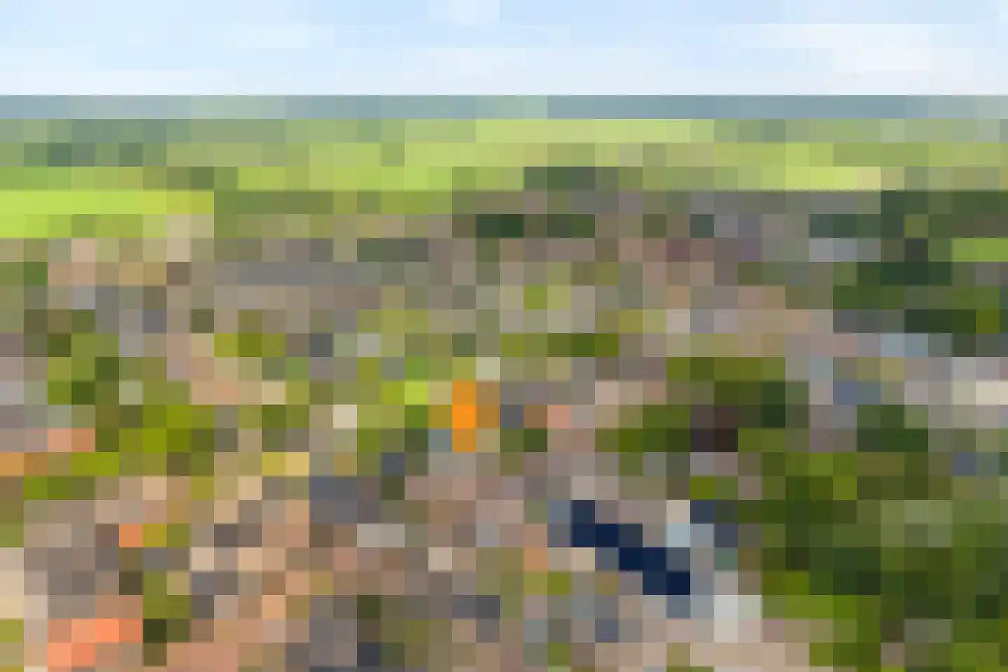 Dijkhuizen 49 Ruinerwold thumbnail 6