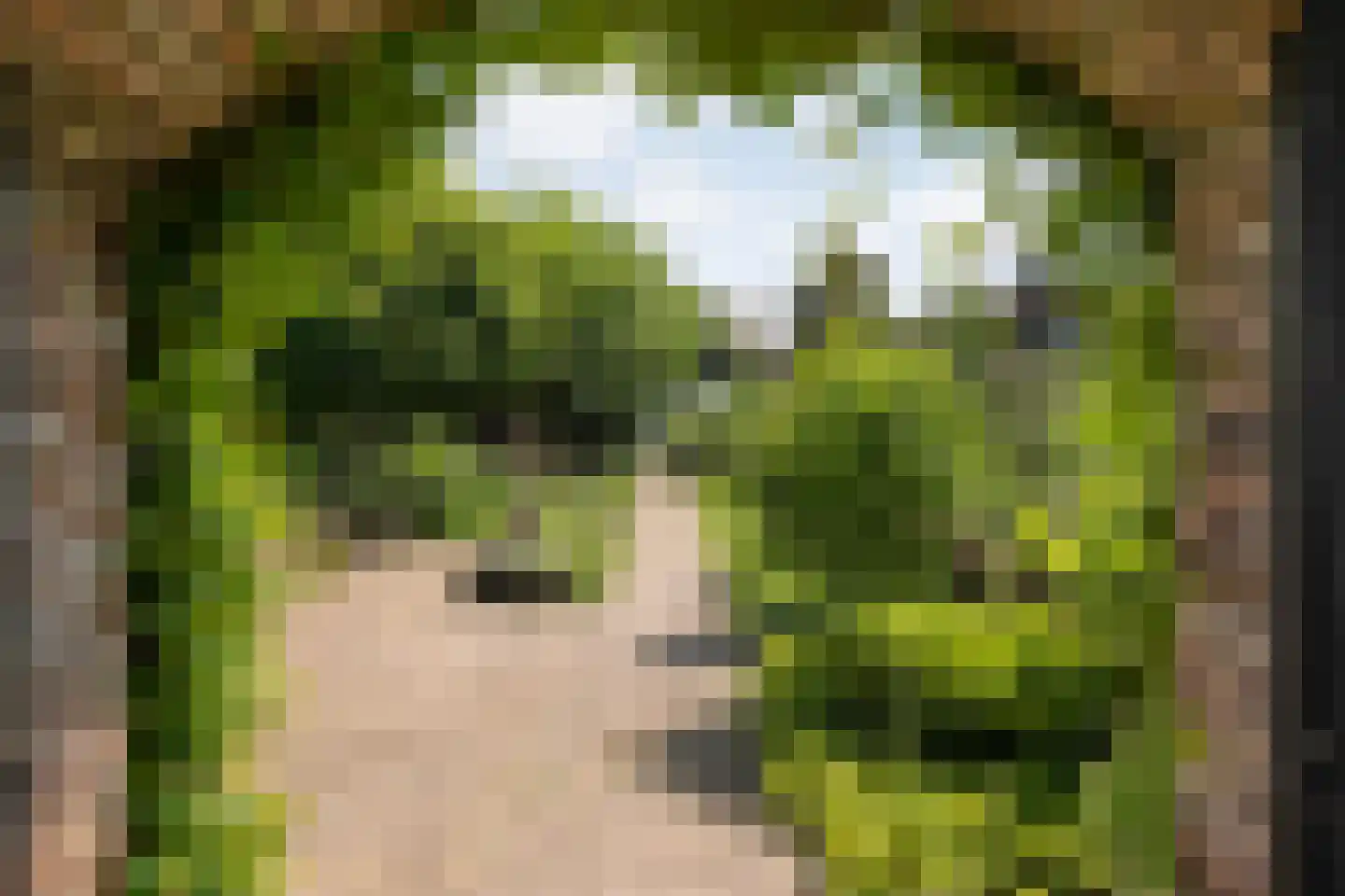 Dijkhuizen 49 Ruinerwold thumbnail 60