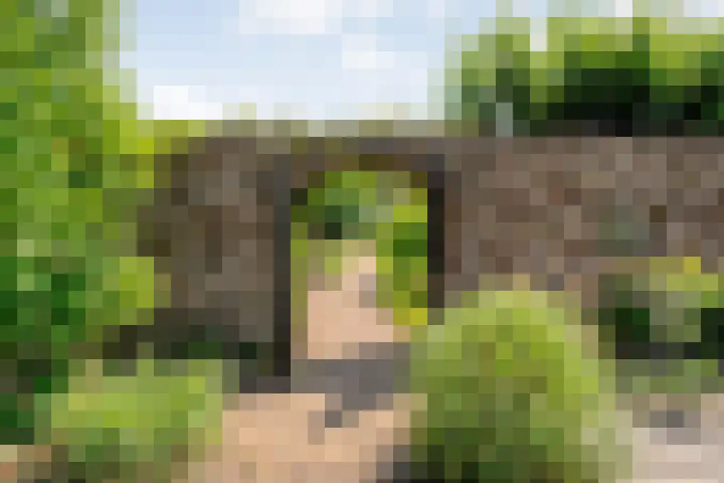 Dijkhuizen 49 Ruinerwold thumbnail 61