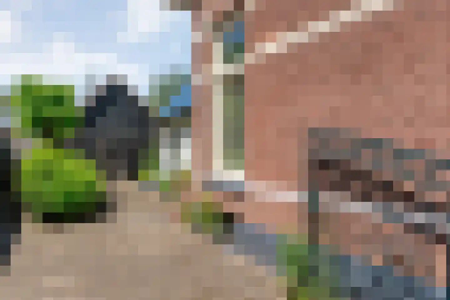 Dijkhuizen 49 Ruinerwold thumbnail 62