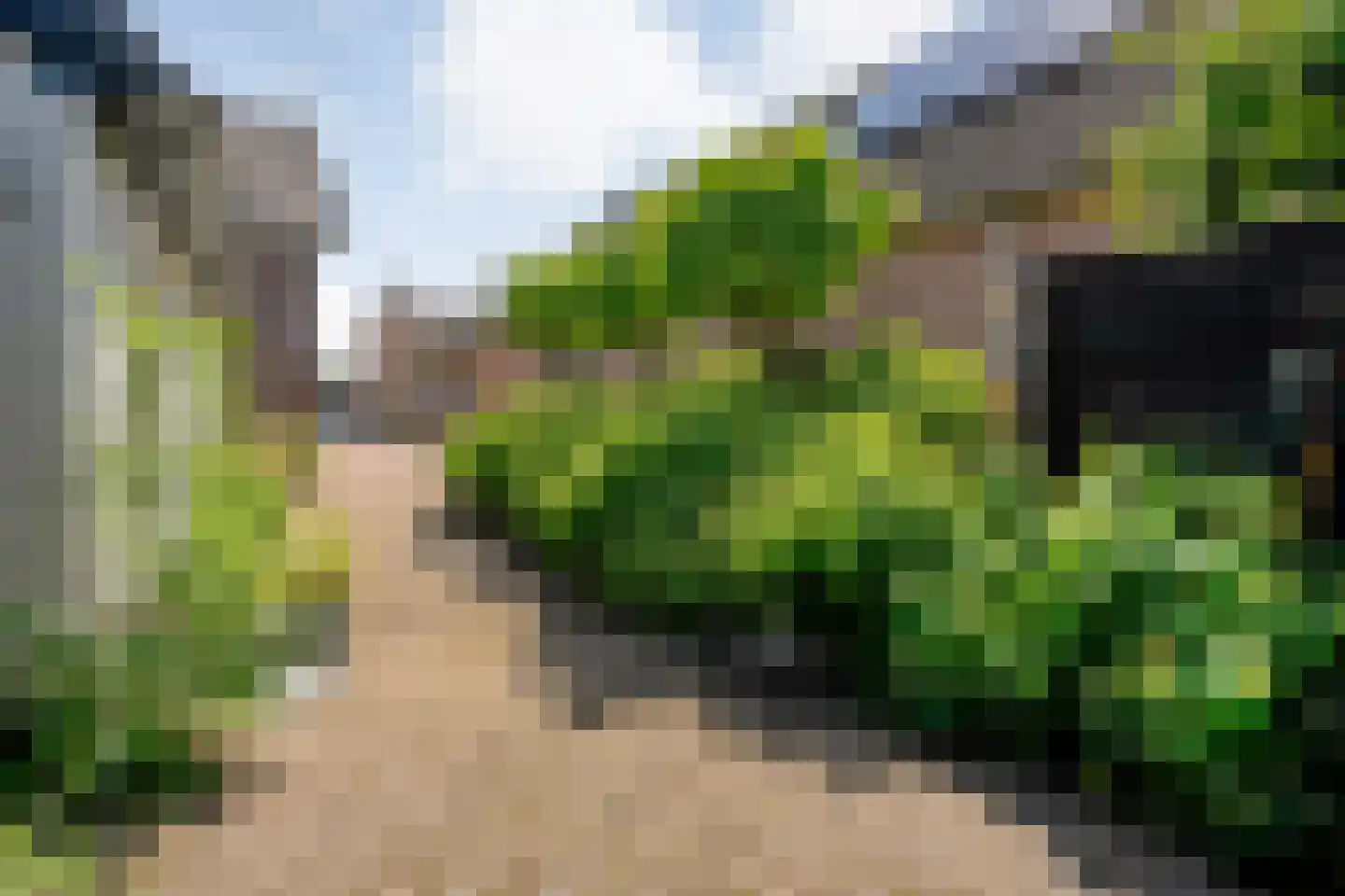 Dijkhuizen 49 Ruinerwold thumbnail 63