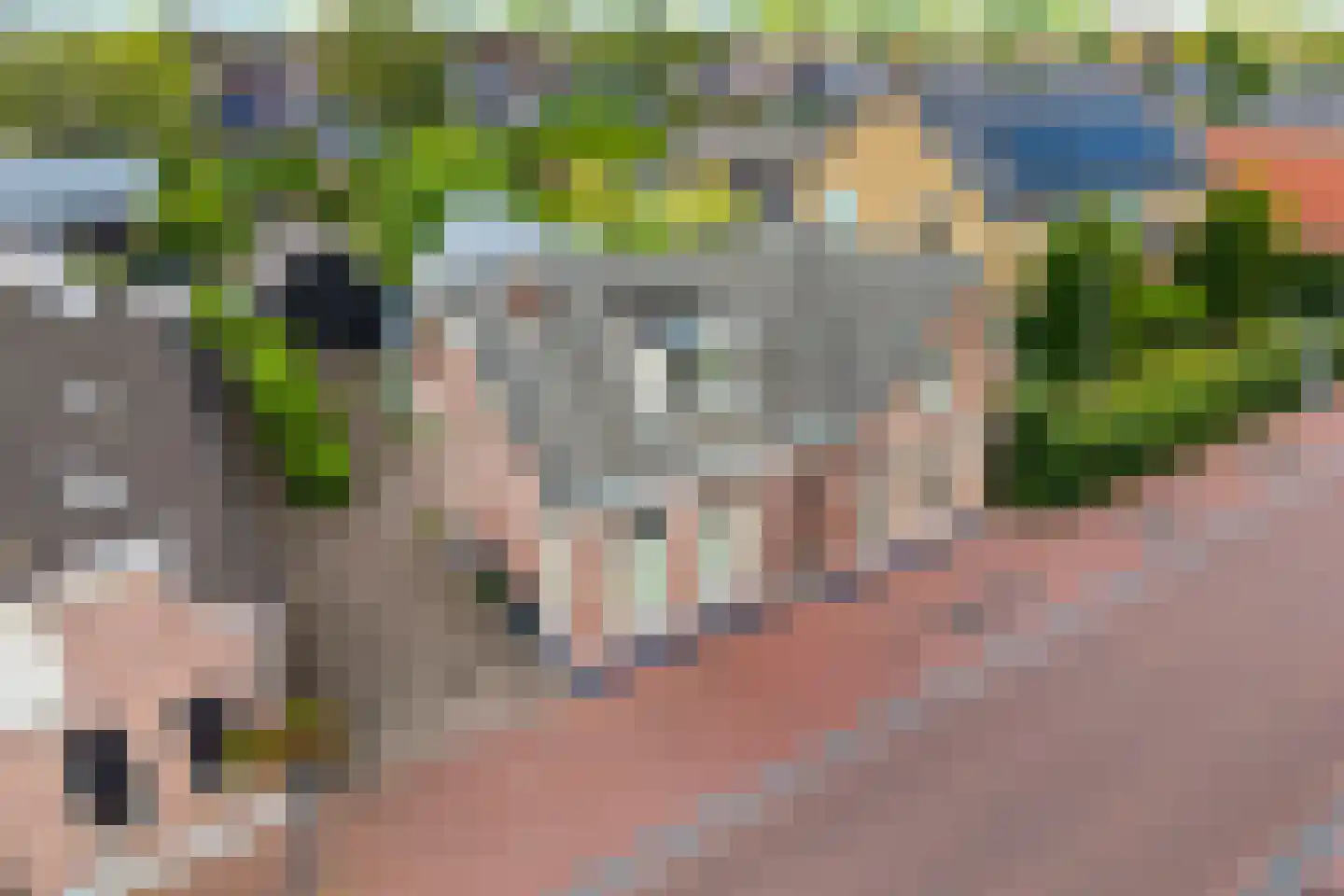 Dijkhuizen 49 Ruinerwold thumbnail 7