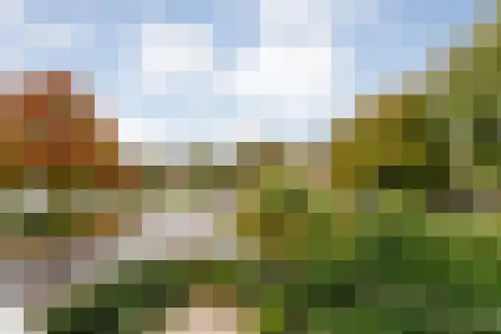 Dijkhuizen 7 c Ruinerwold thumbnail 12