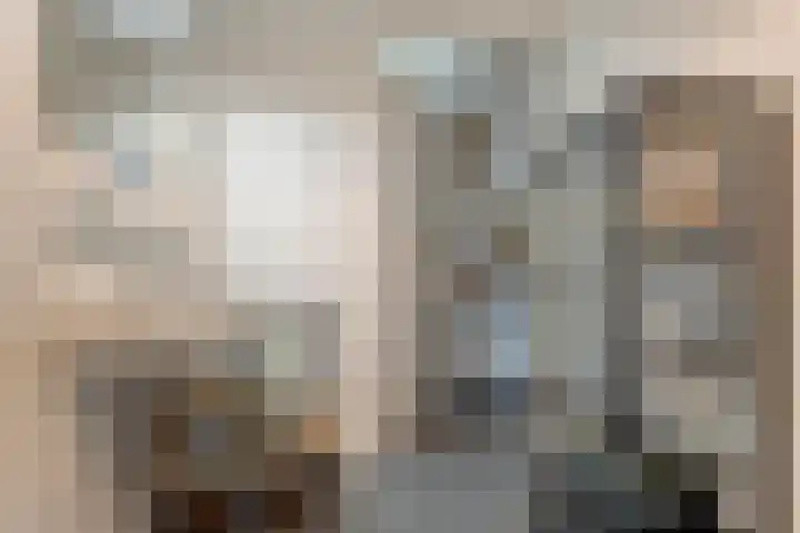 Dijkhuizen 7 c Ruinerwold thumbnail 19
