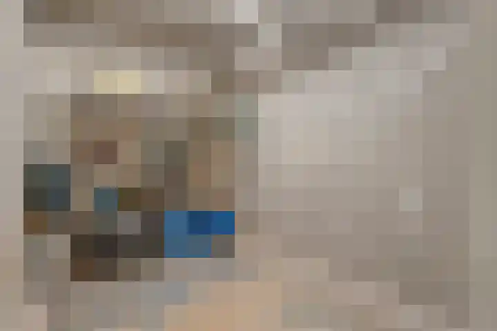 Dijkhuizen 7 c Ruinerwold thumbnail 26