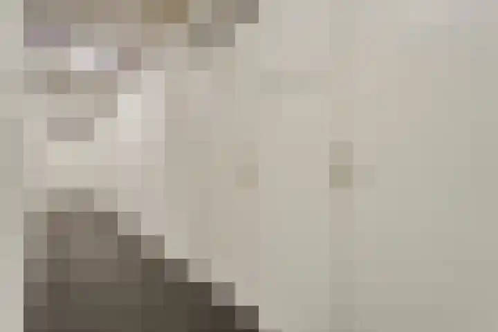 Dijkhuizen 7 c Ruinerwold thumbnail 27