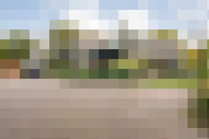 Dijkhuizen 7 c Ruinerwold thumbnail 28