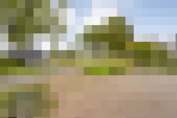 Dijkhuizen 7 c Ruinerwold thumbnail 33