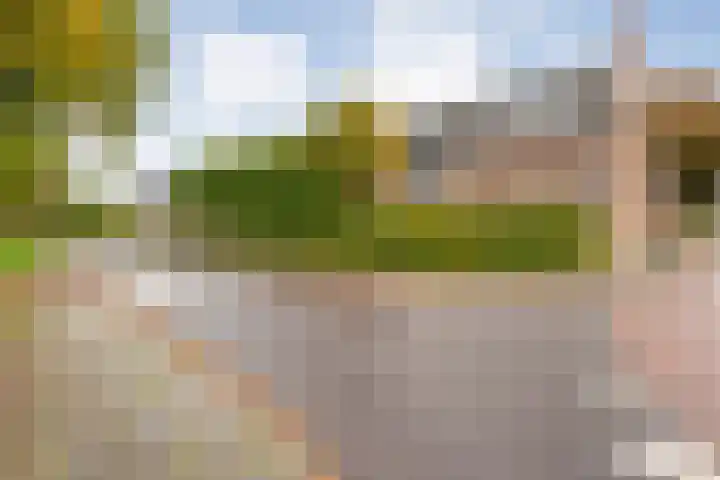Dijkhuizen 7 c Ruinerwold thumbnail 36