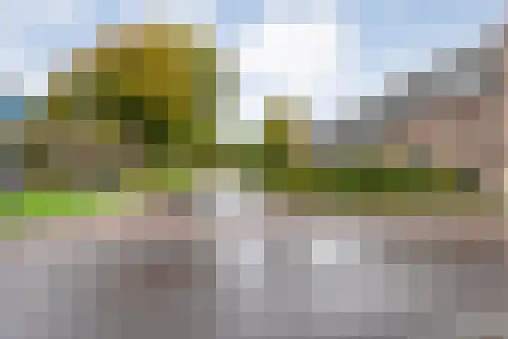 Dijkhuizen 7 c Ruinerwold thumbnail 40