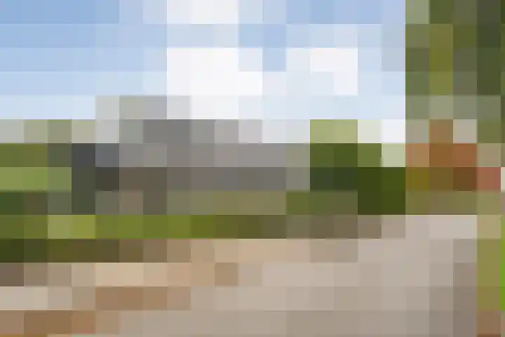 Dijkhuizen 7 c Ruinerwold thumbnail 41