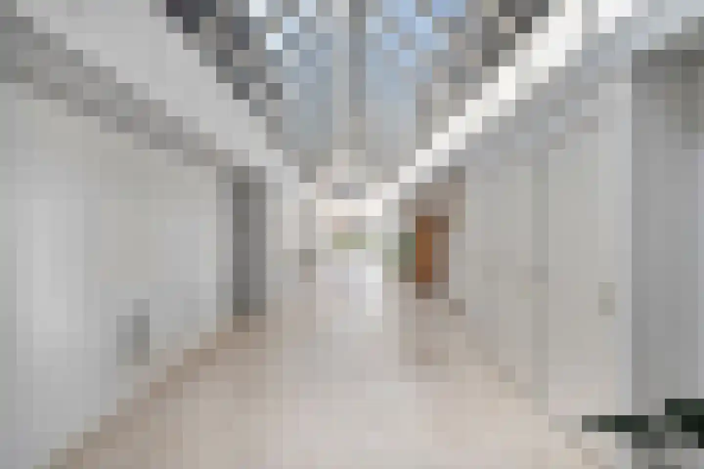 Dijkhuizen 7 h Ruinerwold thumbnail 18