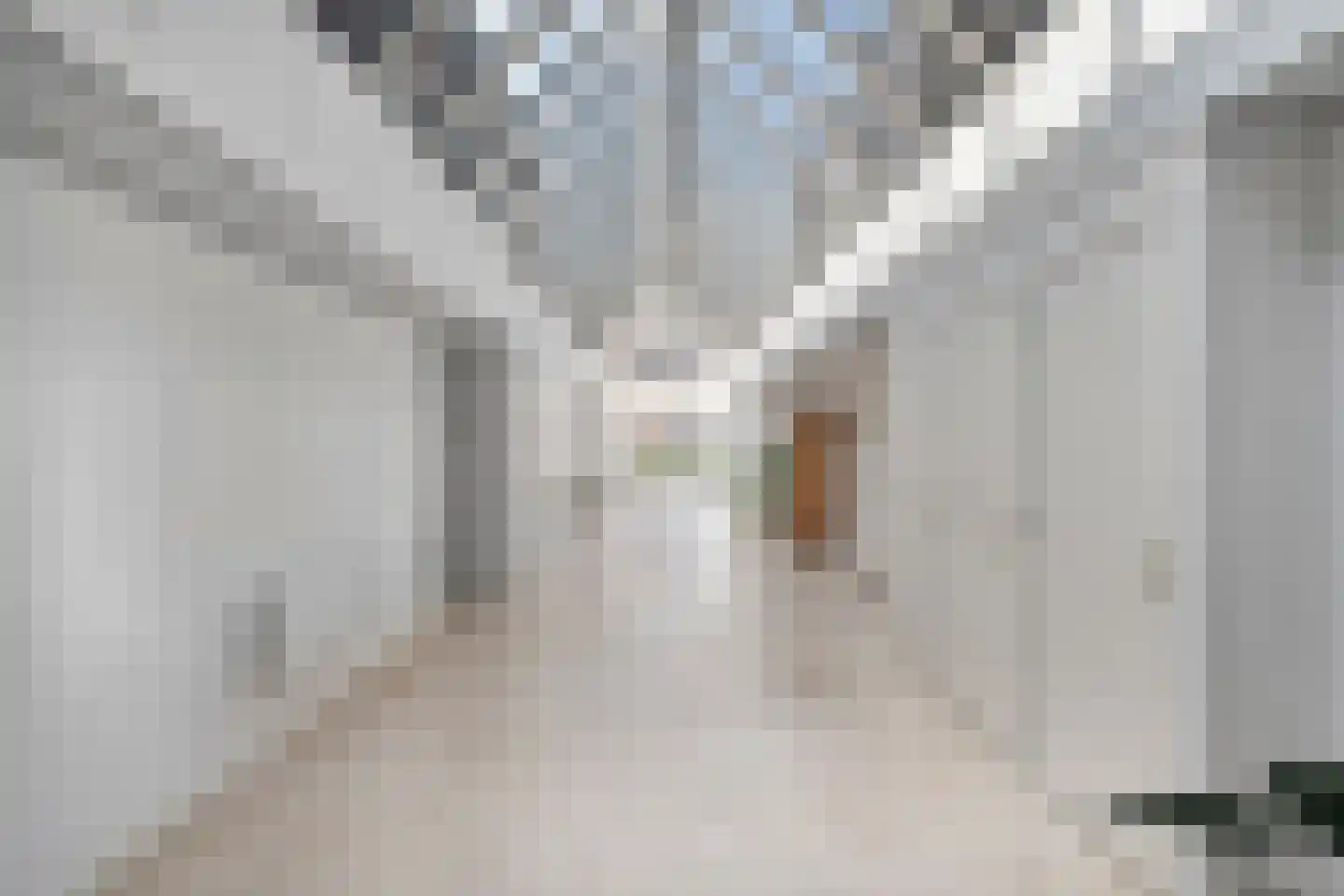 Dijkhuizen 7 h Ruinerwold thumbnail 18