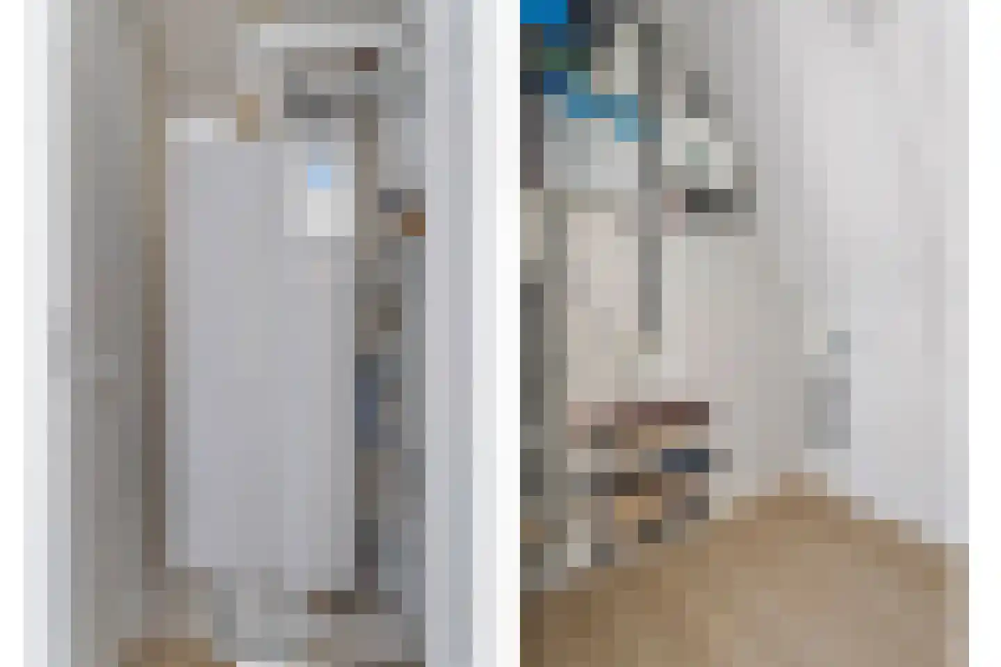 Dijkhuizen 7 h Ruinerwold thumbnail 22