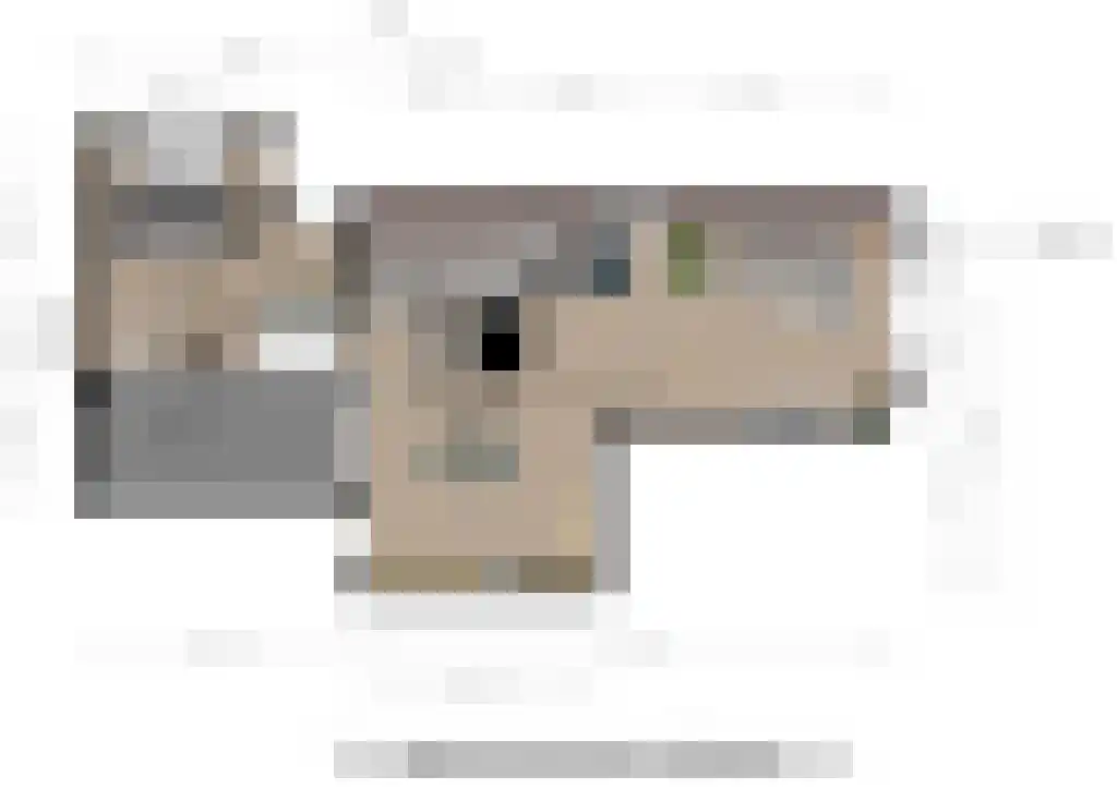 Dijkhuizen 7 h Ruinerwold thumbnail 33