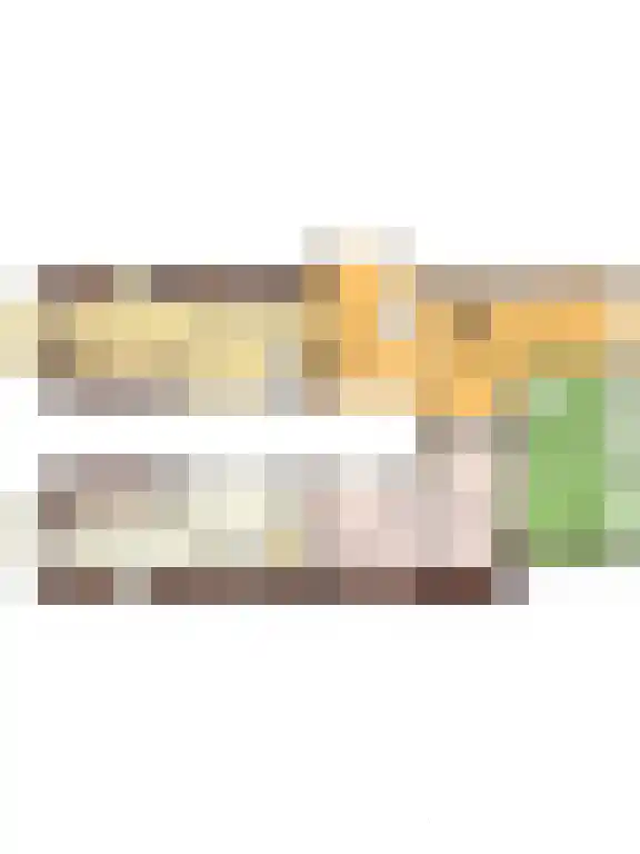 Dijkhuizen 7 h Ruinerwold thumbnail 34
