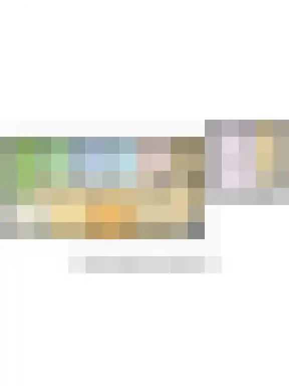Dijkhuizen 7 h Ruinerwold thumbnail 36