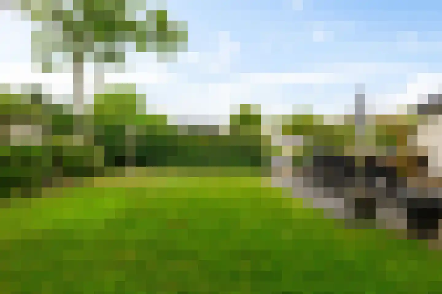 Dijkhuizenweg 102 Appingedam thumbnail 47