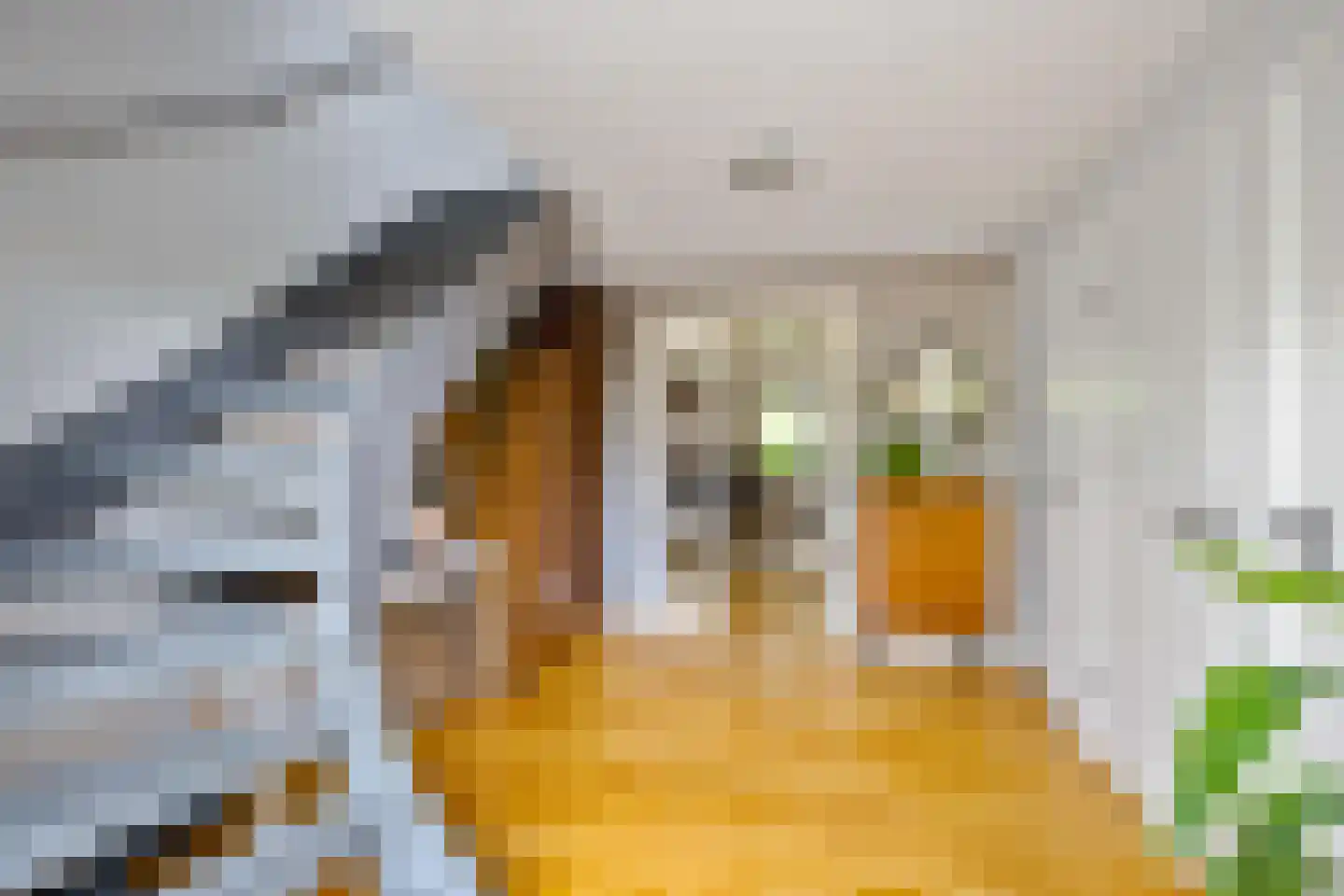 Dijkhuizenweg 102 Appingedam thumbnail 5