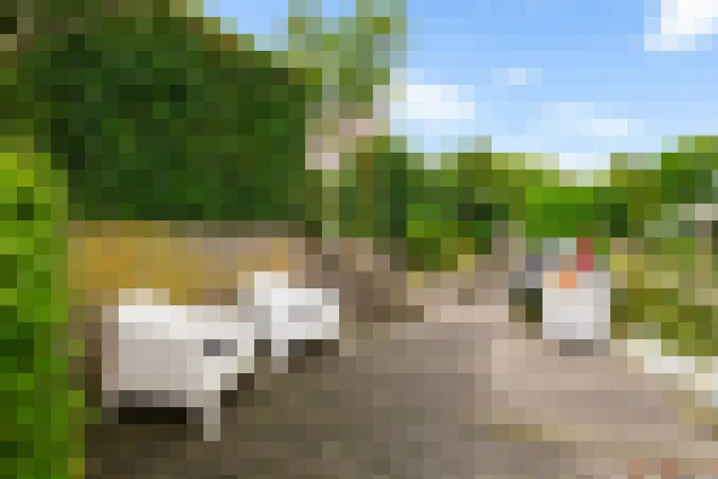 Dijkhuizenweg 102 Appingedam thumbnail 51
