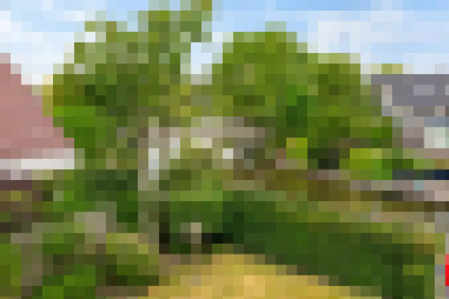 Dijkhuizenweg 102 Appingedam thumbnail 53