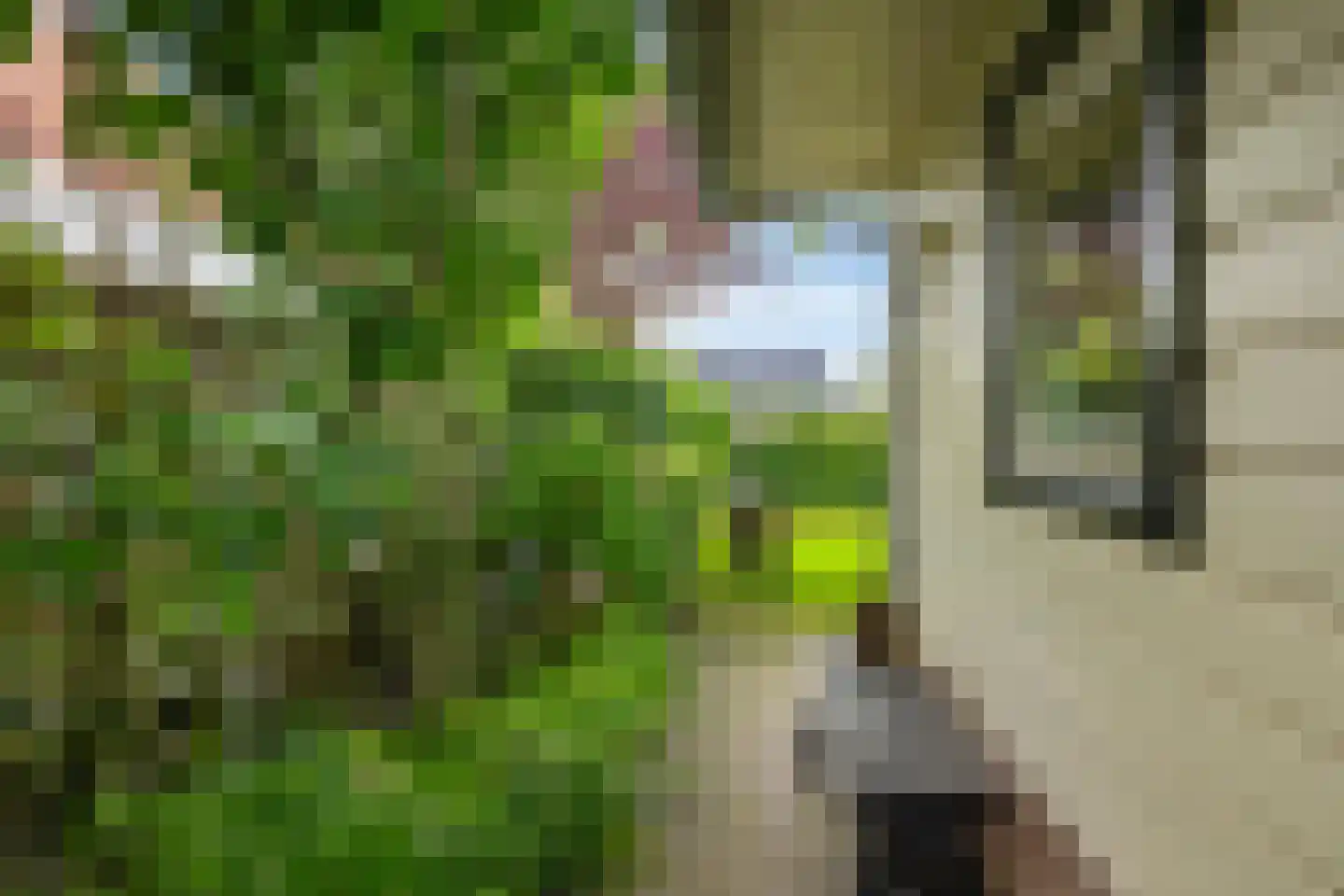 Dijkhuizenweg 102 Appingedam thumbnail 54