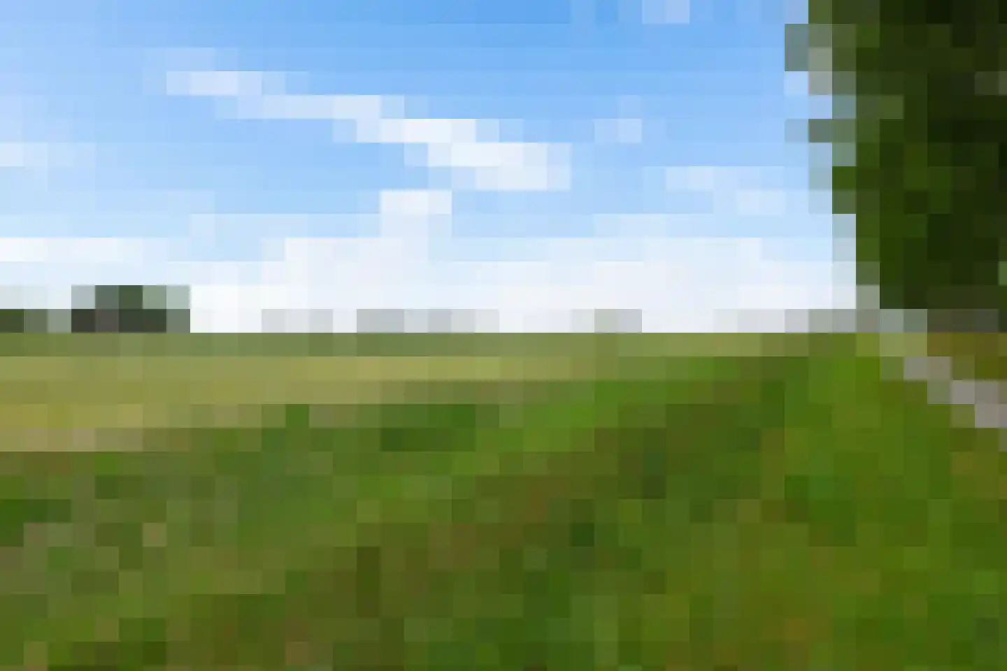 Dijkhuizenweg 102 Appingedam thumbnail 66