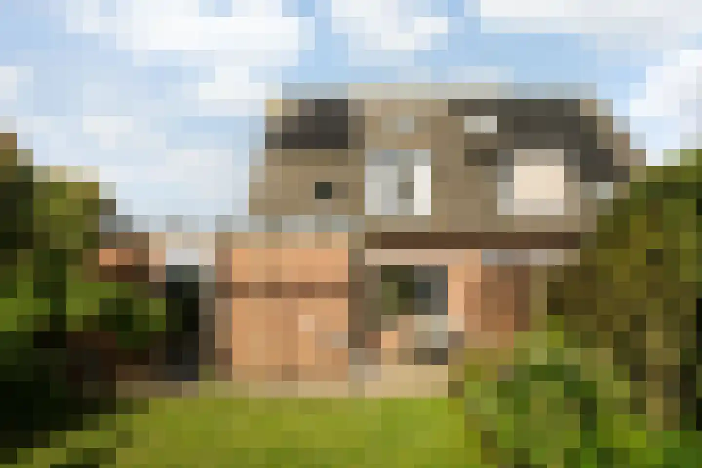 Dijkhuizenweg 58 Nijbroek thumbnail 24