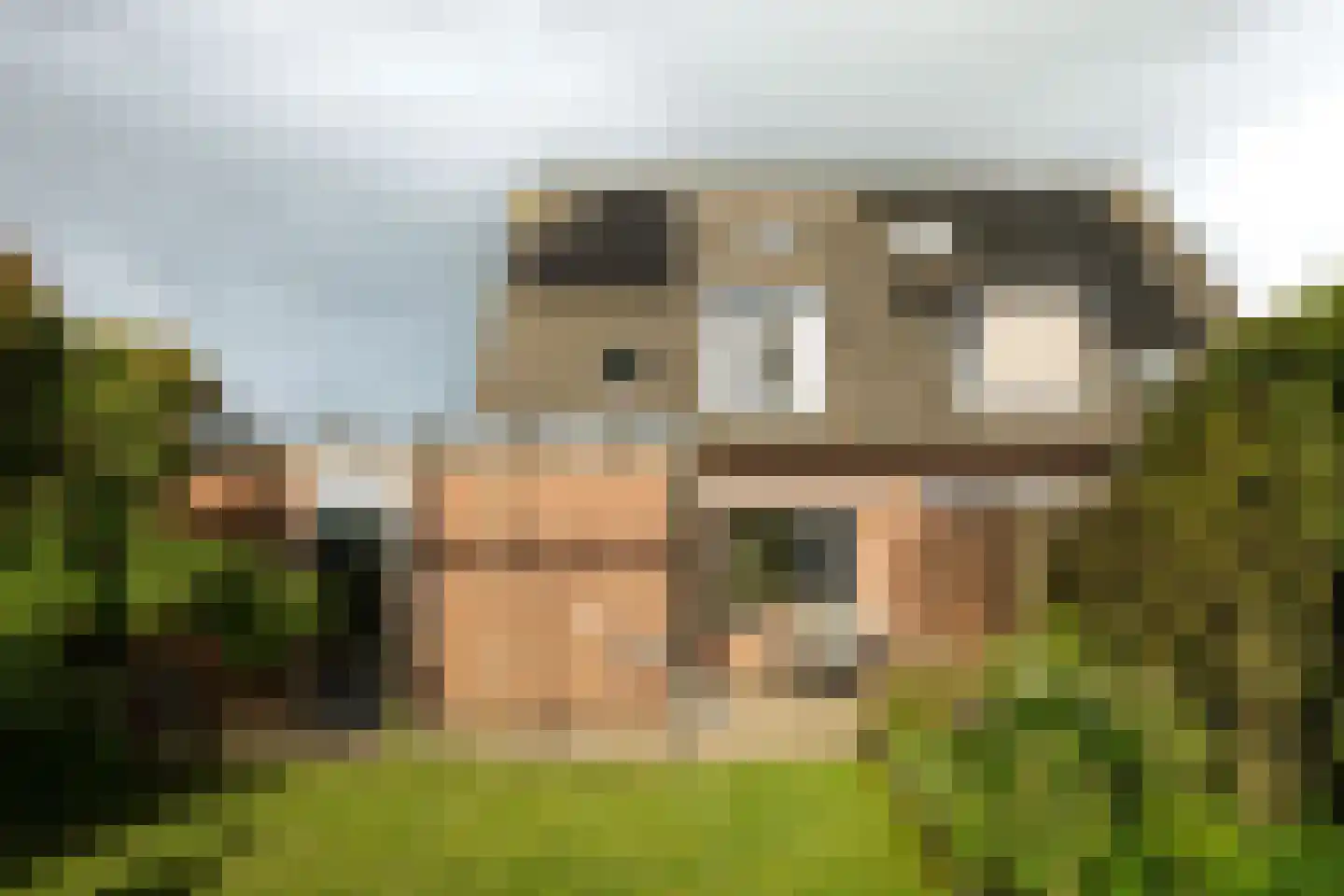 Dijkhuizenweg 58 Nijbroek thumbnail 25