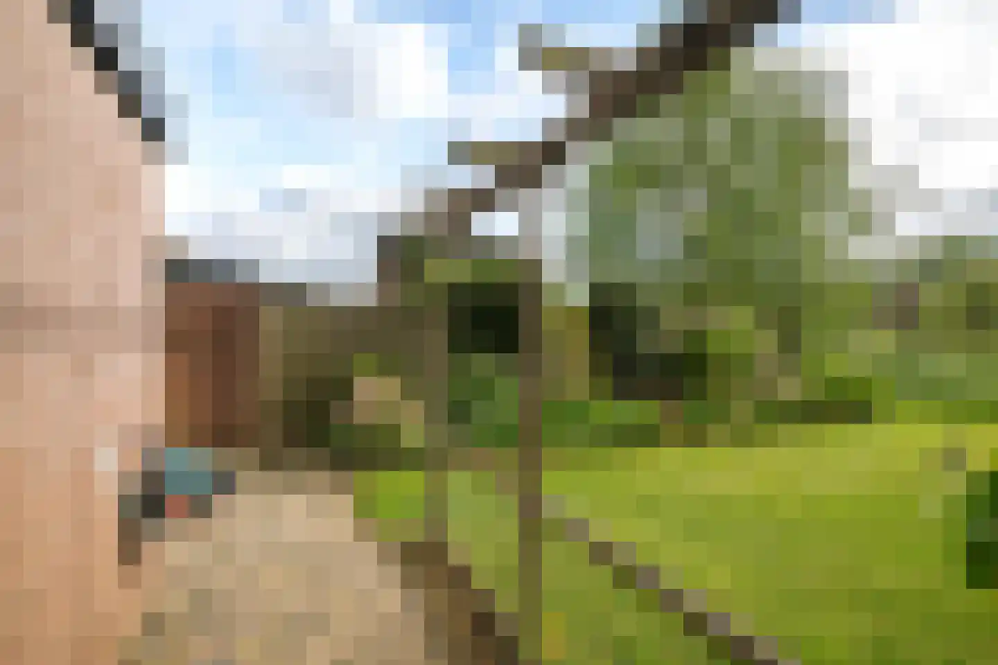 Dijkhuizenweg 58 Nijbroek thumbnail 27