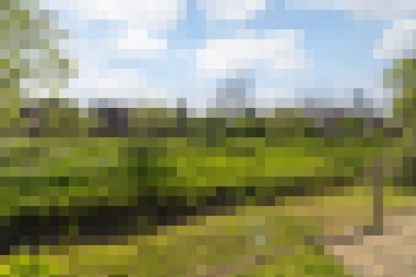 Dijkhuizenweg 58 Nijbroek thumbnail 28