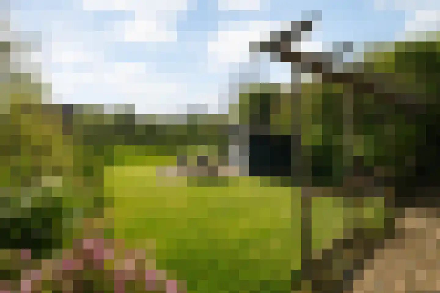 Dijkhuizenweg 58 Nijbroek thumbnail 29
