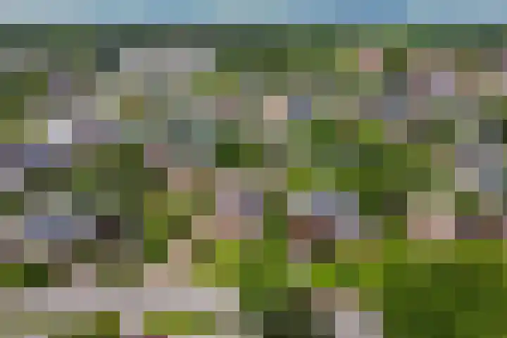 Dijkhuizenweg 76 Appingedam thumbnail 35