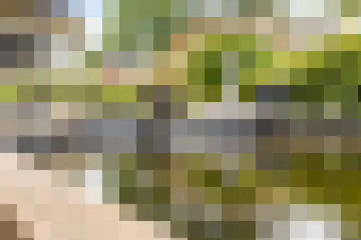 Dijkhuizenweg 76 Appingedam thumbnail 4