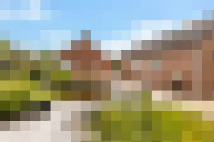 Dijkhuizenweg 76 Appingedam thumbnail 42