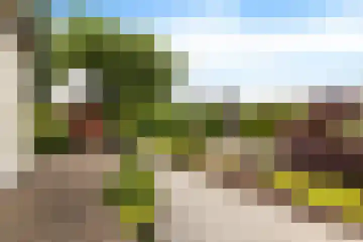 Dijkhuizenweg 76 Appingedam thumbnail 48