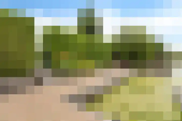 Dijkhuizenweg 76 Appingedam thumbnail 51