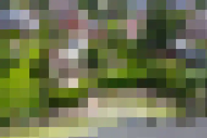 Dijkhuizenweg 76 Appingedam thumbnail 54