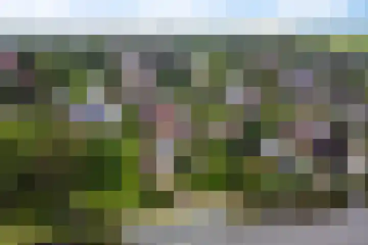 Dijkhuizenweg 76 Appingedam thumbnail 55