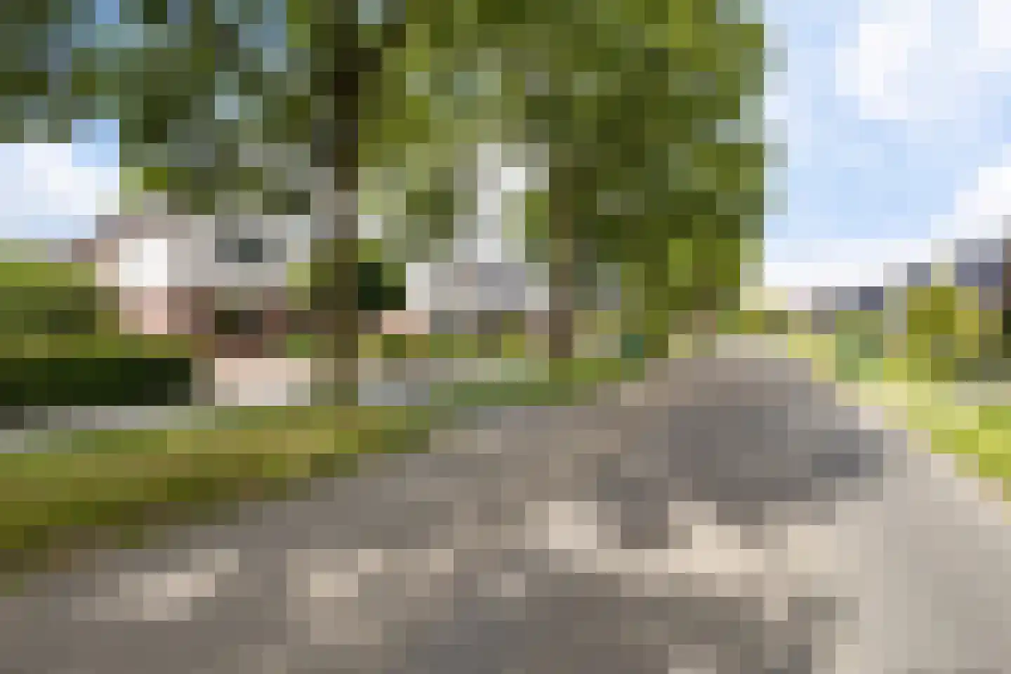 Dijkhuizenweg 77 Appingedam thumbnail 12